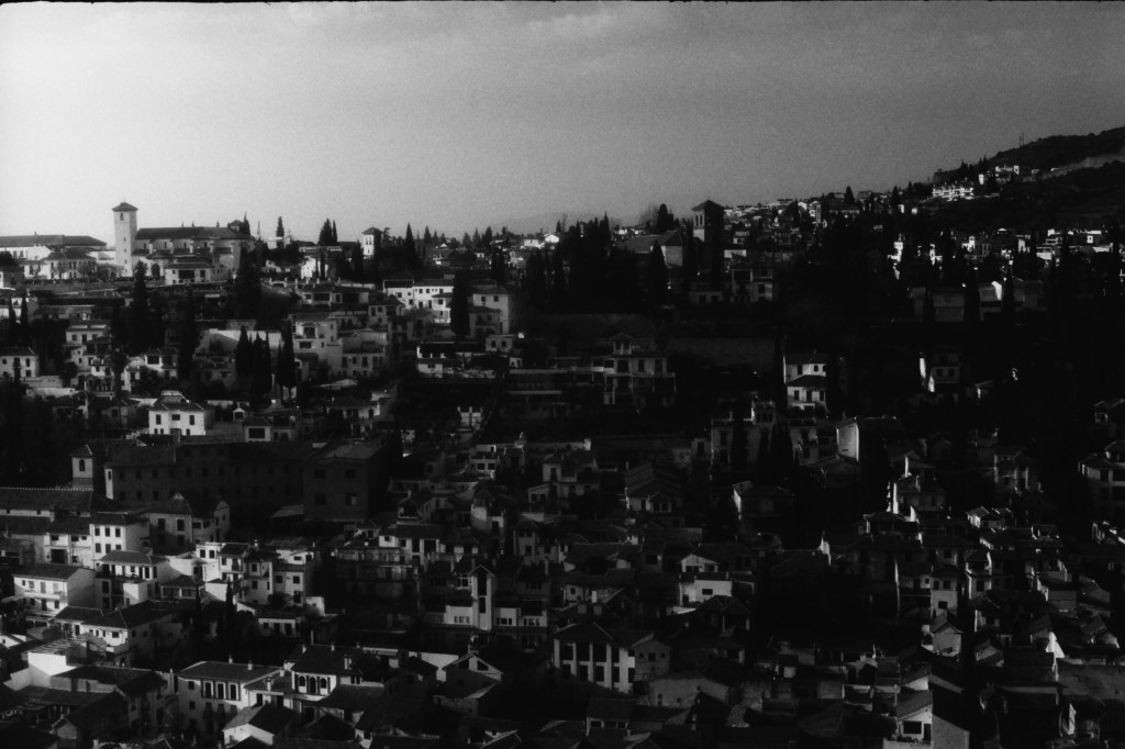 AA (analogue arquitecture).