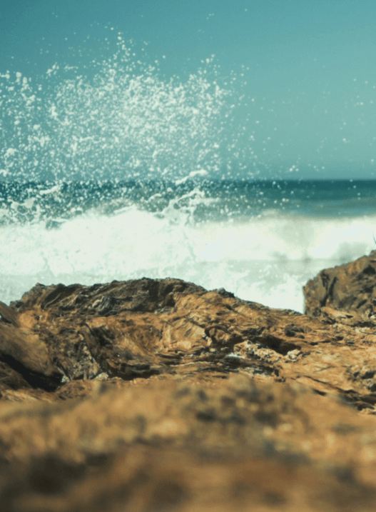 El mito de&nbsp;Adán